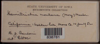 Image Associated With the Occurence